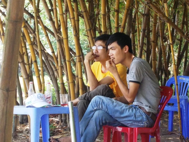 Hình ảnh khóm tre giữa trưa hè nắng nóng tại Hà Nội tạo cảm giác gần gũi, thân quen với mỗi người